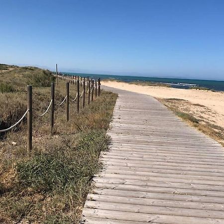 Oasis Beach Dream Holiday Guardamar del Segura Esterno foto