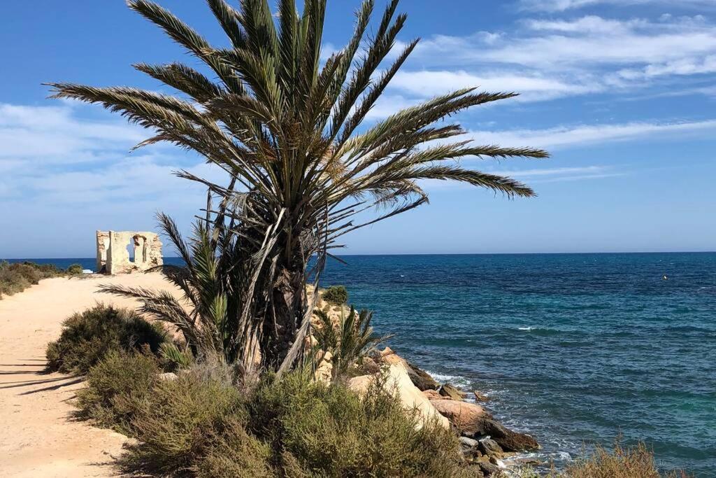 Oasis Beach Dream Holiday Guardamar del Segura Esterno foto